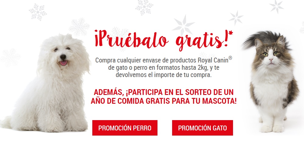 Prueba gratis comida Royal Canin