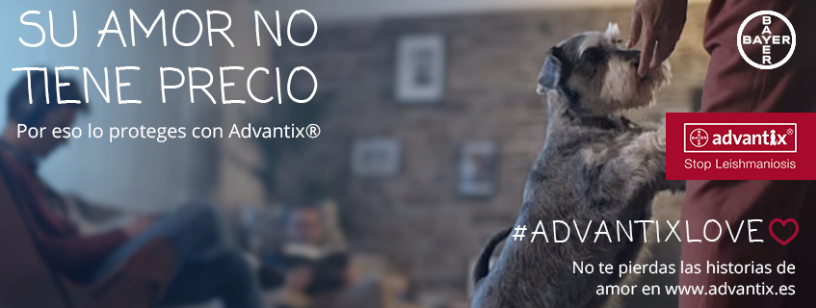 Consigue un adhesivo con la imagen de tu mascota