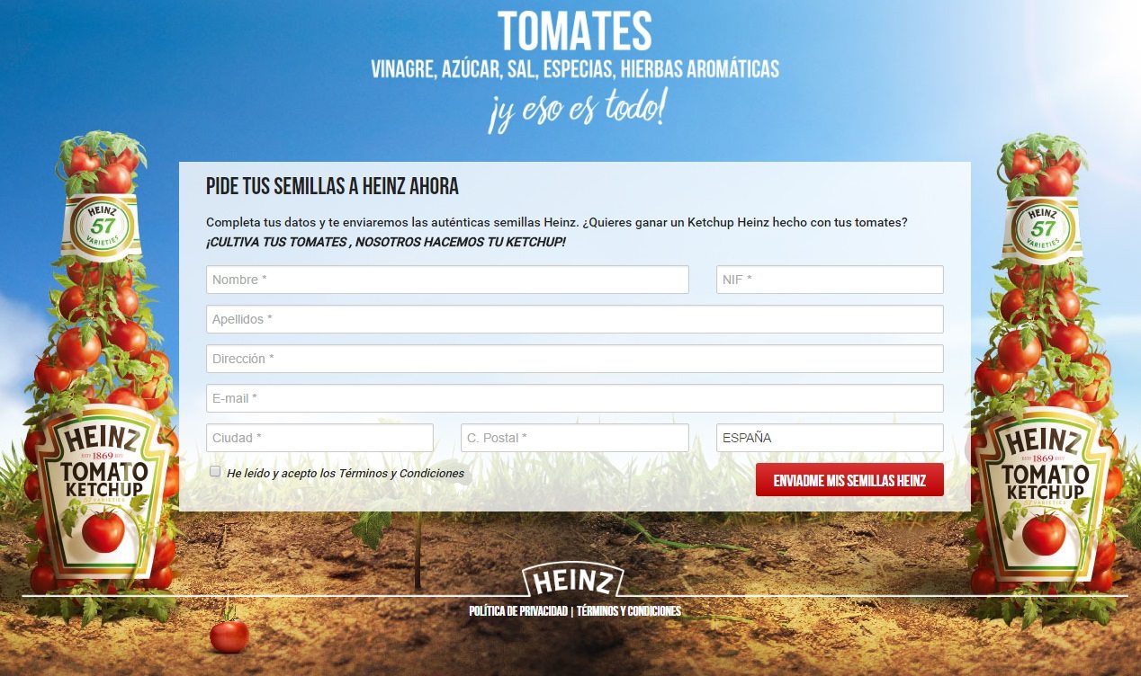 Consigue gratis semillas de tomate Heinz