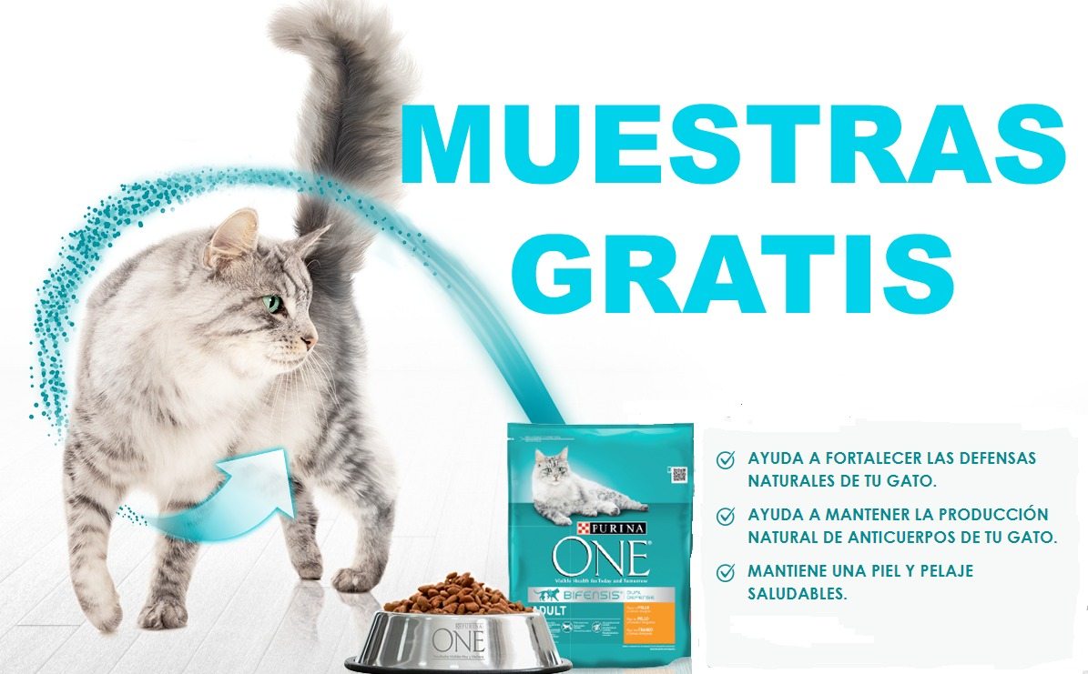 muestras gratis de comida para gatos