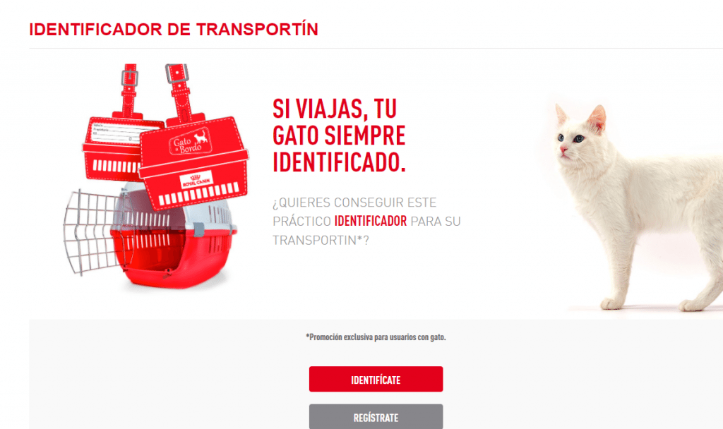 Consigue un identificador para tu mascota